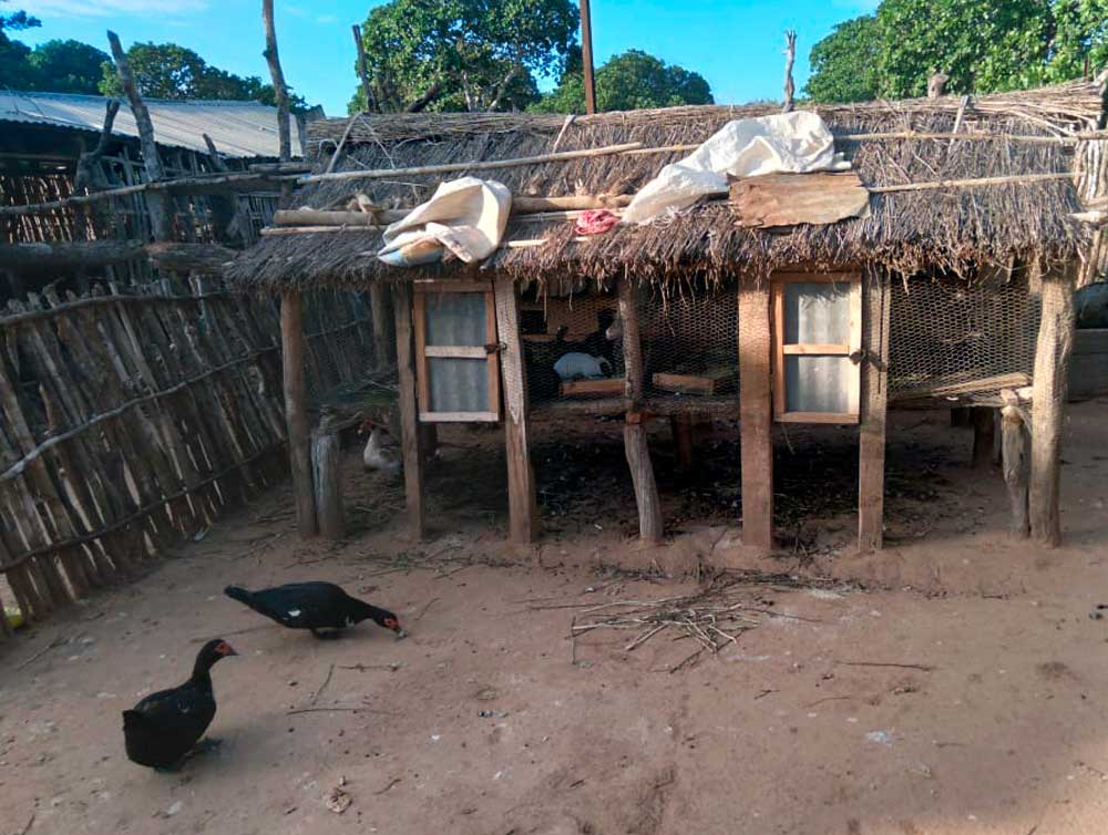 Temperantia realiza una donación para la construcción de un aviario por la mejora agrícola en Mozambique 